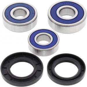 All Balls achterwiel lagers 25-1603