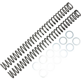 Race tech veren ( per set van 2 ) RT FK SPR 41.2x462 .42kg