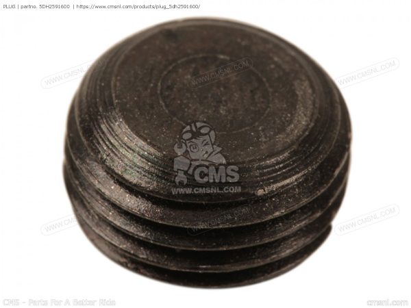 Yamaha remklauw afdichtschroefje 5DH-25916-00 - Afbeelding 2