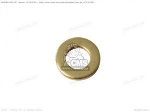Yamaha OEM Ring 137-14153-00