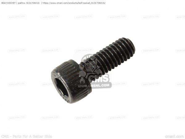Yamaha OEM BOLT SOCKET 91317-06016-00