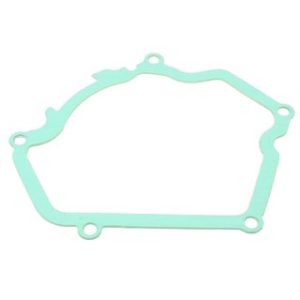 Athena Generator Side Gasket S410485017063