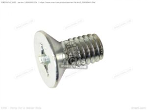 Honda OEM TUBE SCREW , FLAT, 6X12