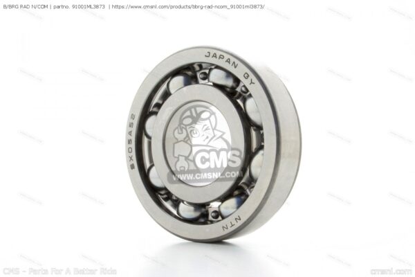 Honda OEM B/BRG RAD N/COM 91001-ML3-873